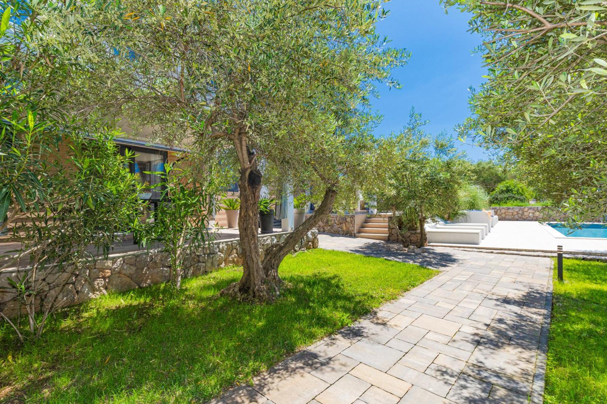 Oliveto Residence Bungalows - Adults Only Punat Zewnętrze zdjęcie