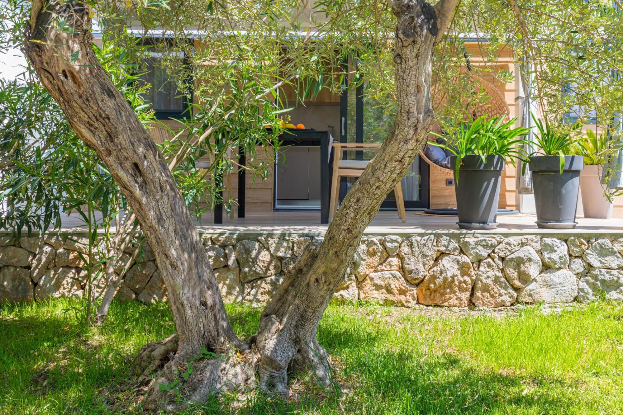 Oliveto Residence Bungalows - Adults Only Punat Zewnętrze zdjęcie